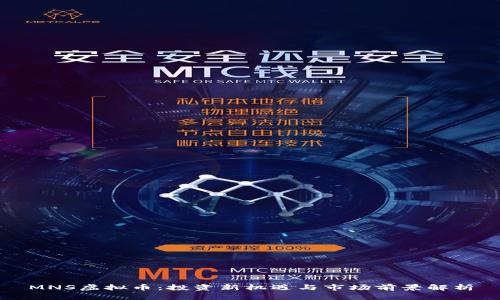 MNS虚拟币：投资新机遇与市场前景解析