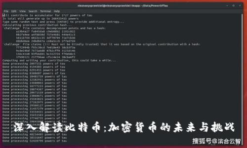 深入解读比特币：加密货币的未来与挑战