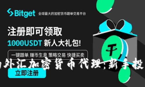 如何选择理想的外汇加密货币代理：新手投资者的终极指南