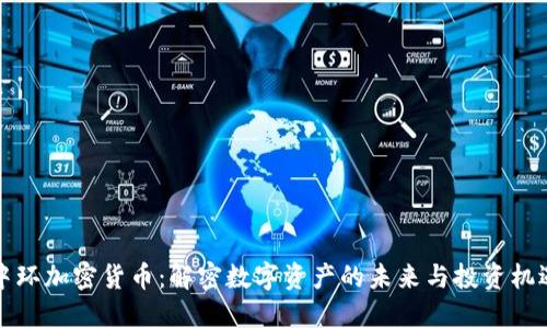 中环加密货币：解密数字资产的未来与投资机遇
