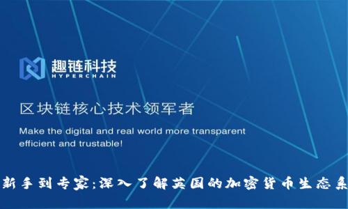 从新手到专家：深入了解英国的加密货币生态系统