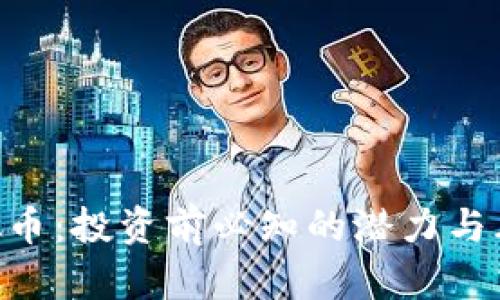 FSN虚拟币：投资前必知的潜力与风险分析
