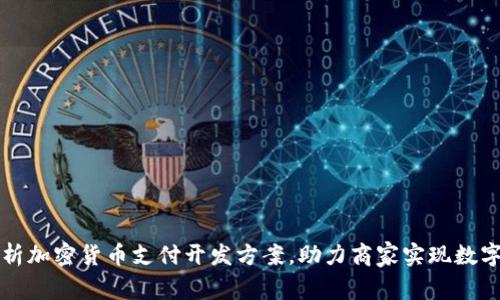 全面解析加密货币支付开发方案，助力商家实现数字化转型