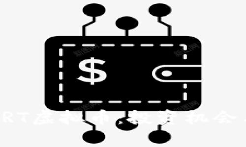 深入探讨SRT虚拟币：投资机会与风险分析