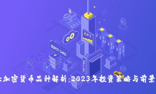 十大加密货币品种解析：2023年投资策略与前景展望