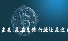 虚拟币的未来：是在末路行驶还是迎来新机遇？