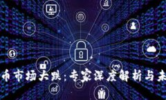 加密货币市场大跌：专家深度解析与未来展望