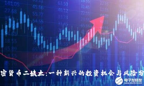 加密货币二姨太：一种新兴的投资机会与风险分析