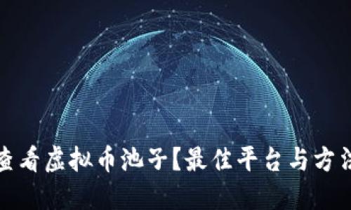 如何查看虚拟币池子？最佳平台与方法详解