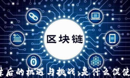 
加密货币泡沫后的机遇与挑战：是什么促使市场的回暖？