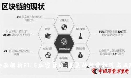 全面解析FILE加密货币：未来的投资机遇与风险