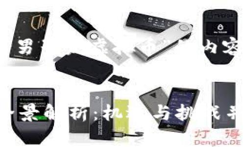 好的，以下是关于“男子发虚拟币”的内容结构与内容概述。


男子虚拟币发放全景解析：机遇与挑战并存