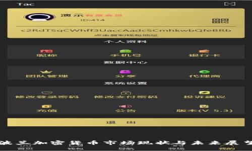 波兰加密货币市场现状与未来展望