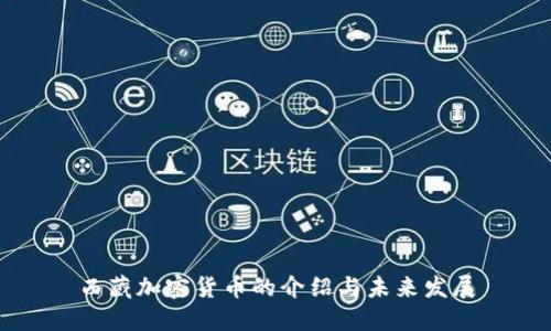 西藏加密货币的介绍与未来发展