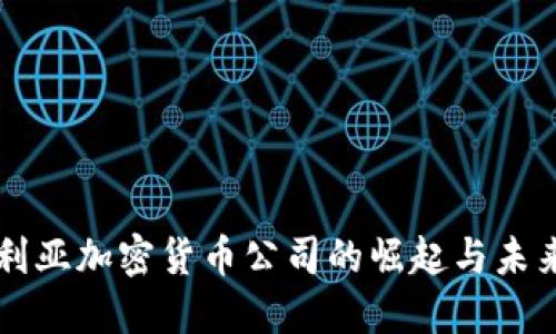 尼日利亚加密货币公司的崛起与未来展望