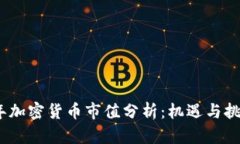 2023年加密货币市值分析：机遇与挑战并存