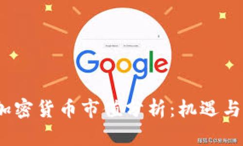 2023年加密货币市值分析：机遇与挑战并存