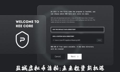 盐城虚拟币法拍:未来投资新机遇