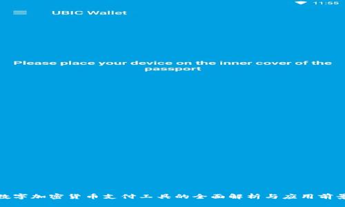 数字加密货币支付工具的全面解析与应用前景