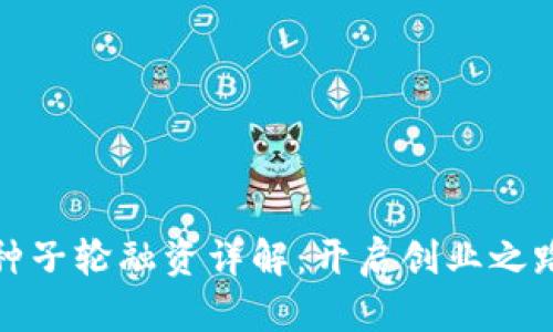 加密货币种子轮融资详解：开启创业之路的第一步